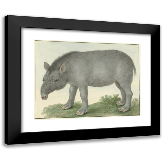 Isaac van Haastert 24x19 Black Modern Framed Museum Art Print Titled - Tapir (1825)