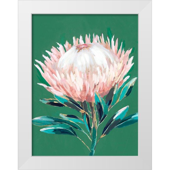 Isabelle Z 12x14 White Modern Wood Framed Museum Art Print Titled - Single King Protea