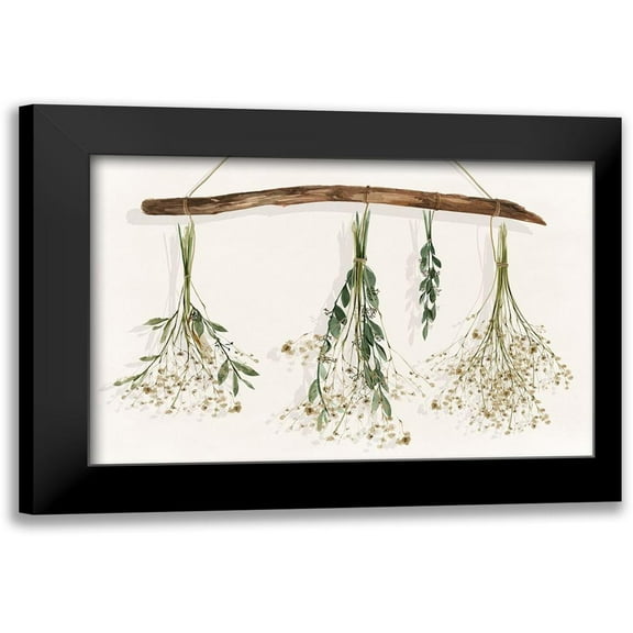 Isabelle Z 14x11 Black Modern Framed Museum Art Print Titled - Drying Flowers