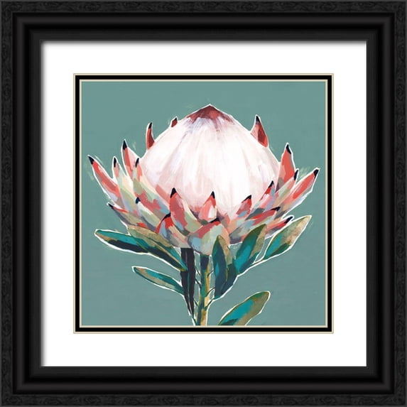 Isabelle Z 20x20 Black Ornate Wood Framed with Double Matting Museum Art Print Titled - Blooming King Protea