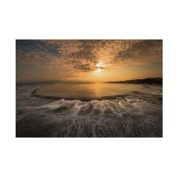 Isam Telhami 'Structure Of Salt' Canvas Art - 19 x 12 Inches