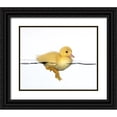 thumbnail image 1 of Isarpl 18x15 Black Ornate Wood Framed with Double Matting Museum Art Print Titled - Patito amarillo, 1 of 4