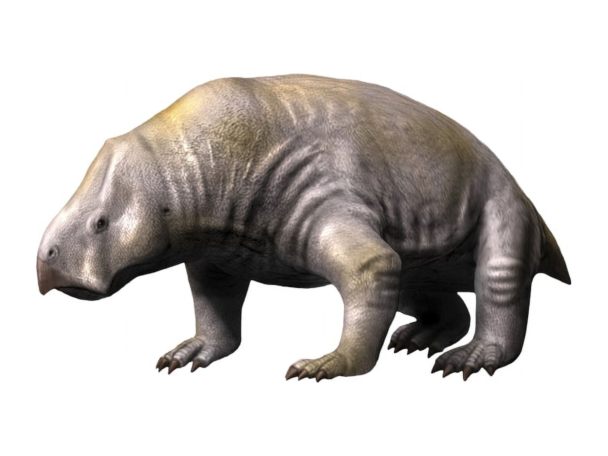 Ischigualastia is a dicynodont from the Late Triassic period Canvas Art - Nobumichi TamuraStocktrek Images (17 x 13)