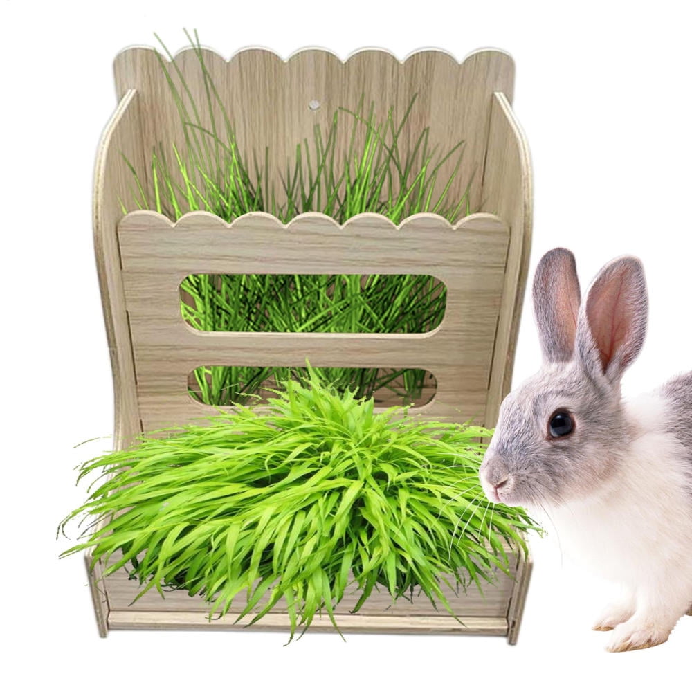 Ishine Hay Feeder Rabbits Hay Holder for Guinea Pigs Cage Anti-Waste ...