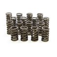 thumbnail image 1 of Isky Cams 205D Valve Springs, Outer with Damper, Yellow, 1 of 1