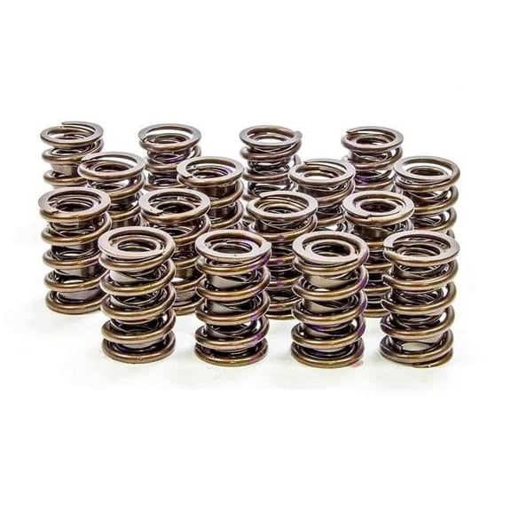 Isky Cams 4005 1.240 Dual Valve Springs, Set of 16