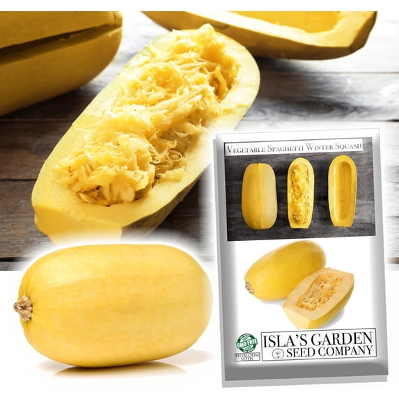 Isla's Garden Seeds 25 Spaghetti Winter Squash Plant Seeds, Non-GMO