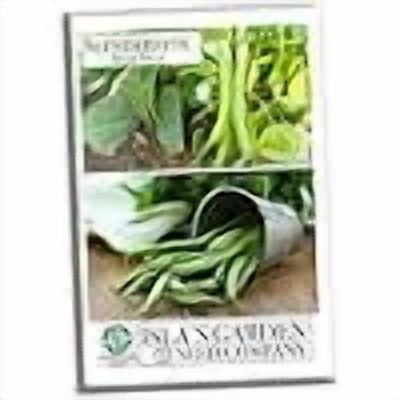 Islet Bean Isla's Garden Seeds 50 Slenderette Bush Bean Plant Seeds, Non-GMO ...