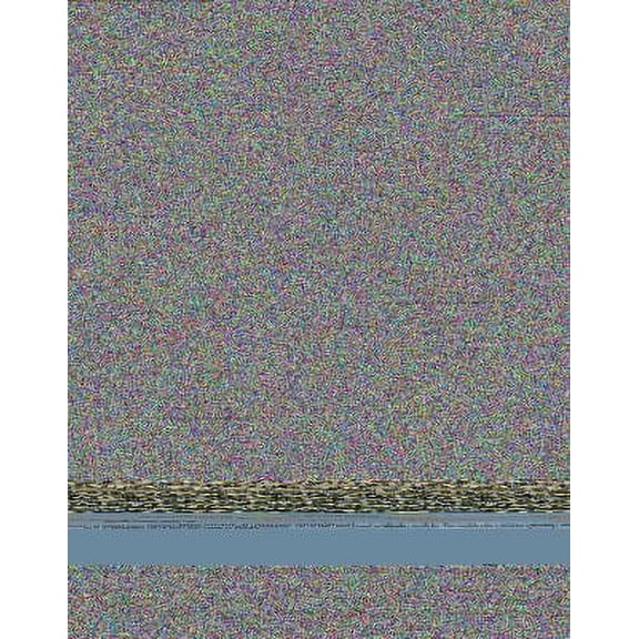 Pre-Owned Islamism and Terrorist Groups in Asia 9781590848340 Used