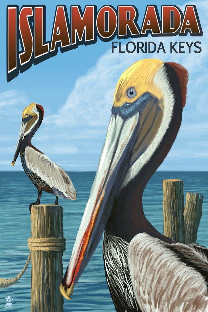 Islamorada, Florida Keys, Pelicans (9x12 Wall Art Print, Home Decor