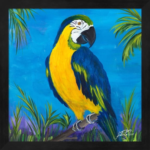 Island Birds Square II by Julie DeRice, Framed Wall Art, 13.25W x 13.25H