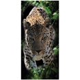 thumbnail image 1 of Island Gear Cheetah 30x60 Cotton Velour Beach Towel, Cheetah, Size: One Size, 1 of 1