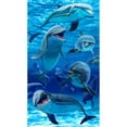 thumbnail image 1 of Island Gear Cotton Velour Beach Blanket, Pod of Dolphins 40x70, Size: One Size, 1 of 1