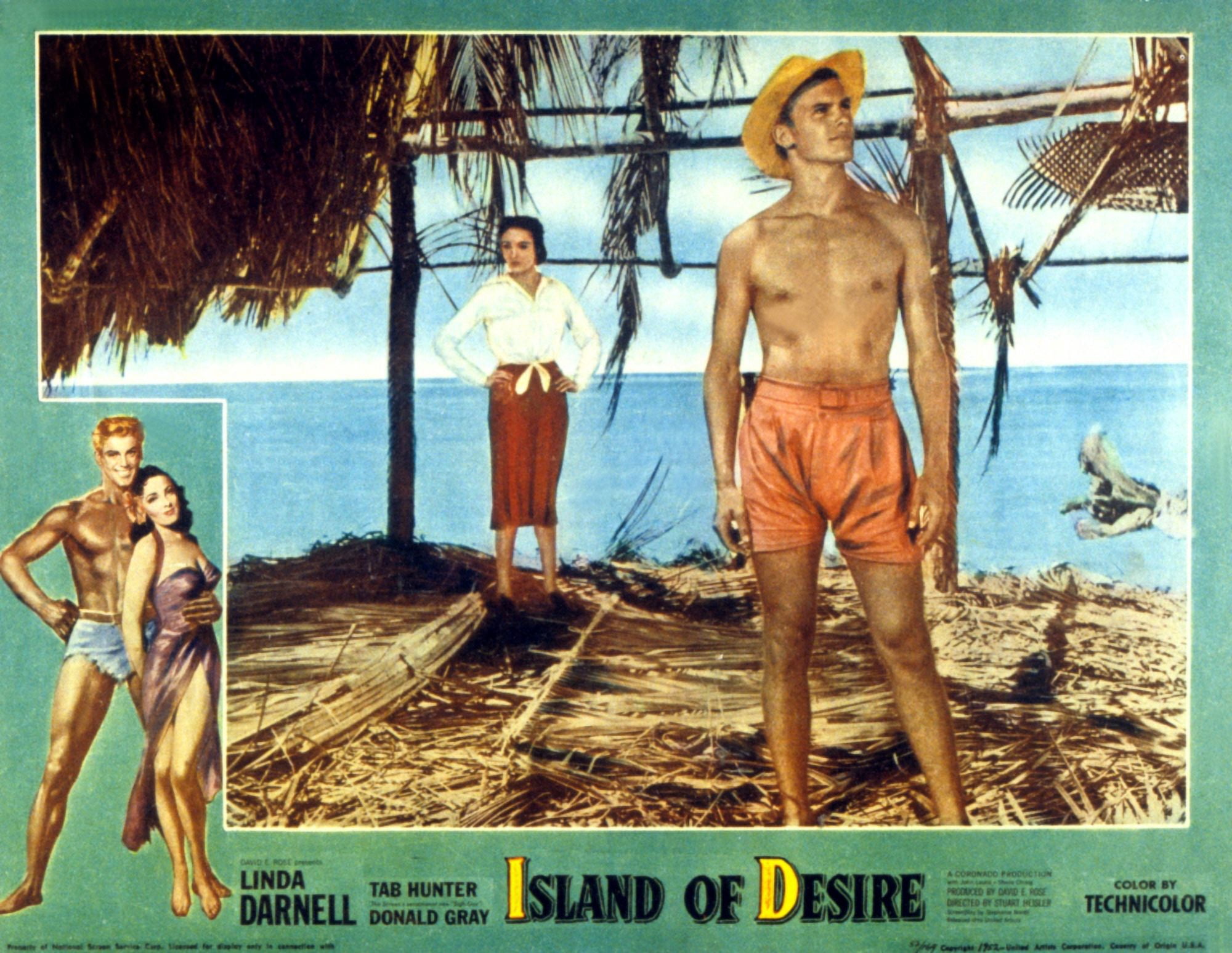 Island Of Desire Canvas Art - (28 x 22)