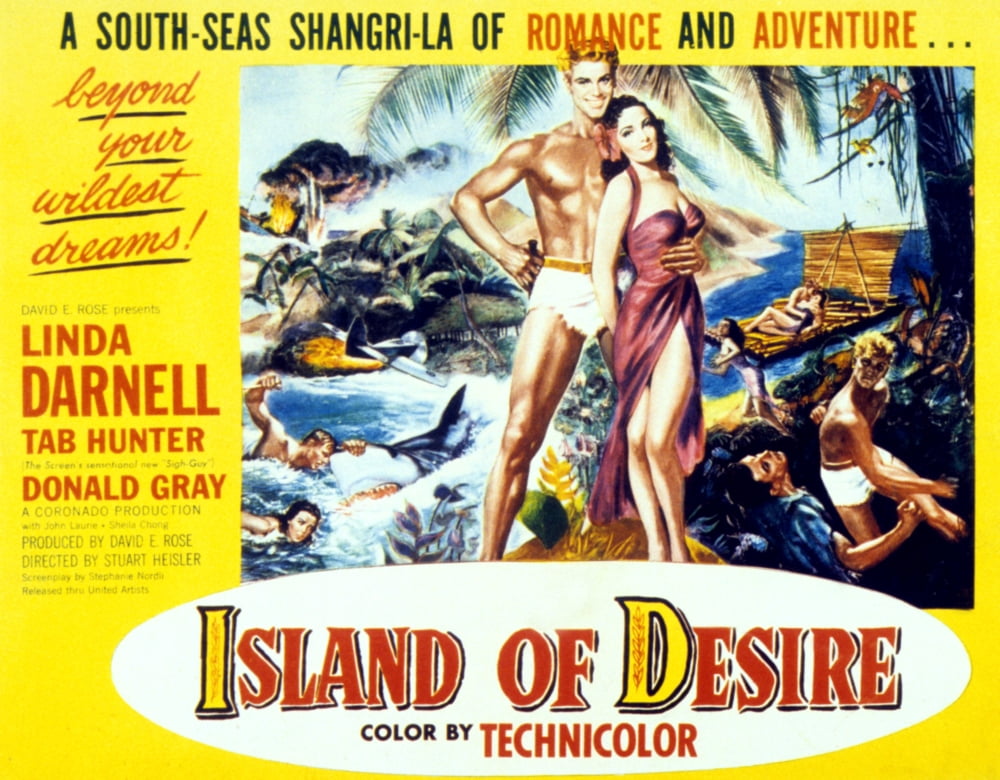 Island Of Desire Canvas Art - (28 x 22)