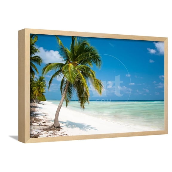 Island Paradise  Palm Trees Hanging over a Sandy White Beach with Stunning Turquoise Waters and Wh, Framed Art Print Wall Art by Aleksandar Todorovic Sold by Art.Com