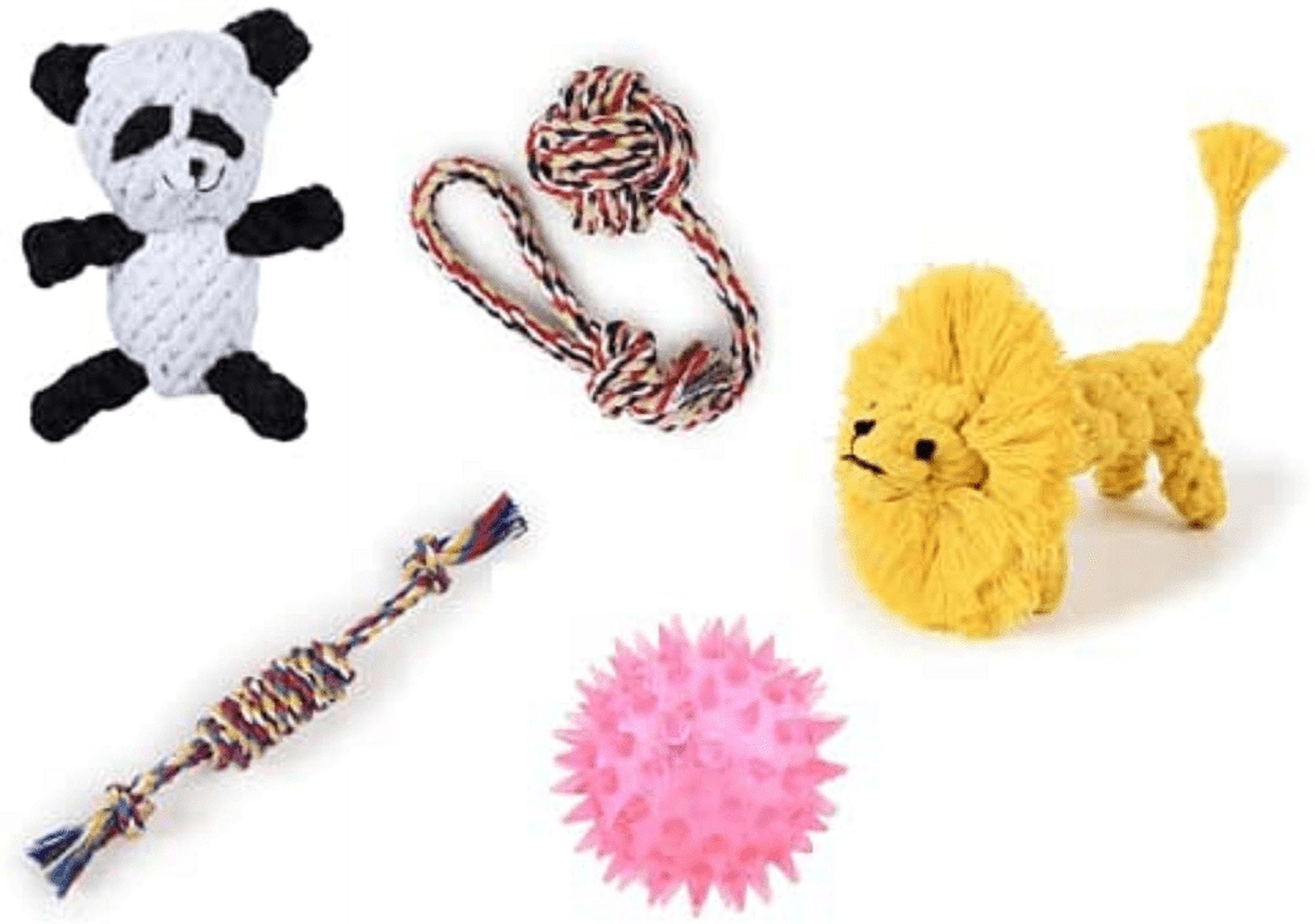 Island Paws, 5 Pack Dog Teething Chew Toys for Puppy, Small and Medium Dogs
