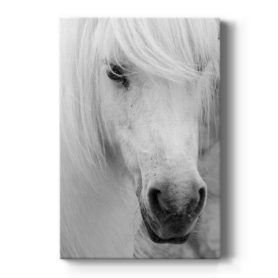 Island Pony I Premium Gallery Wrapped Canvas - Ready to Hang