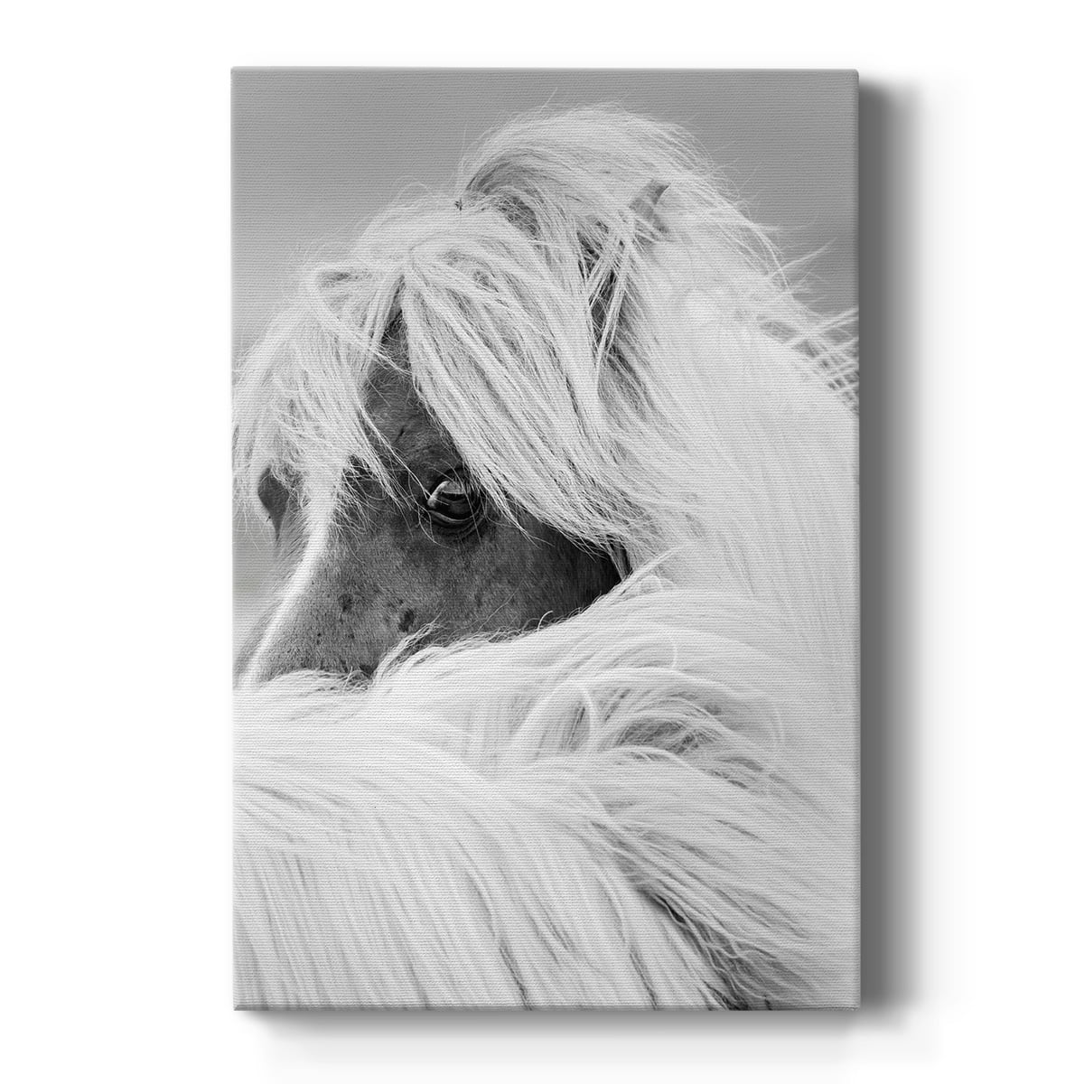 Monochrome Horse Portrait Premium Gallery Wrapped Canvas