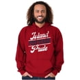thumbnail image 1 of Island Puerto Rican Pride Se Levanta Hoodie Sweatshirt Women Men Brisco Brands S, 1 of 5
