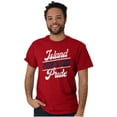 thumbnail image 1 of Island Puerto Rican Pride Se Levanta Men's Graphic T Shirt Tees Brisco Brands L, 1 of 5