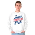 thumbnail image 1 of Island Puerto Rican Pride Se Levanta Unisex Plus Fleece Graphic Sweatshirt Brisco Brands 5X, 1 of 5