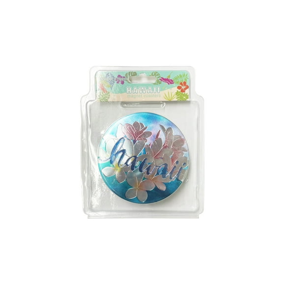 Island Reflections Magnet Coasters 4ct