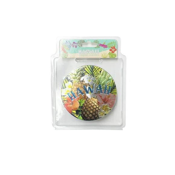 Island Reflections Magnet Coasters 4ct