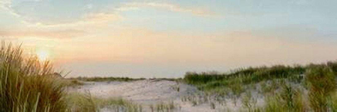 Island Sand Dunes Sunrise No 1 Canvas Art - Alan Blaustein (8 x 24)