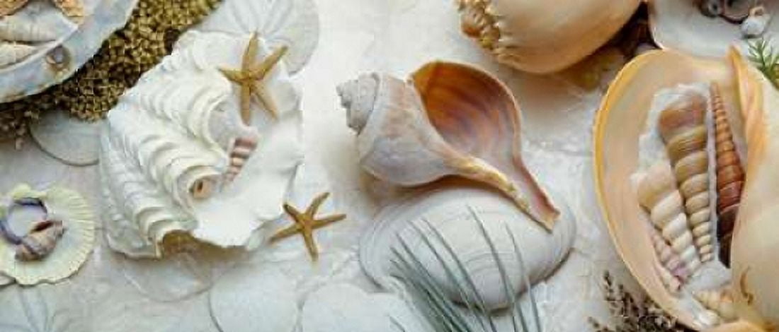 Island Tide Pool No 3 Canvas Art - Alan Blaustein (24 x 48)