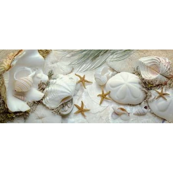 Island Tide Pool No. 5 Poster Print by Alan Blaustein (24 x 48)