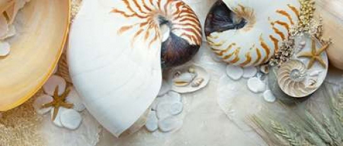Island Tide Pool No 8 Canvas Art - Alan Blaustein (10 x 20)