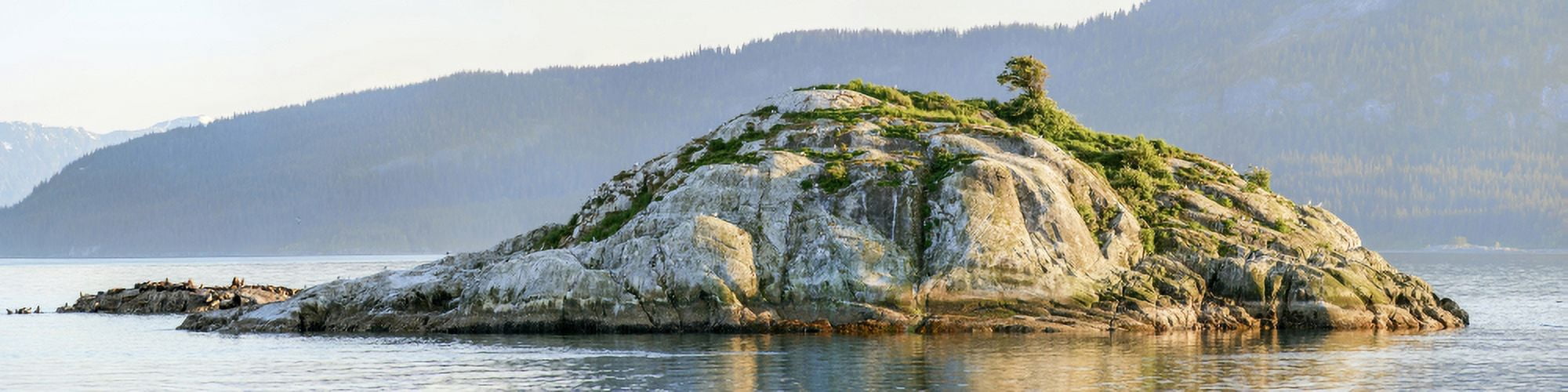 Island in a lake Glacier Bay National Park Southeast Alaska Alaska USA Canvas Art - Panoramic Images (36 x 9)