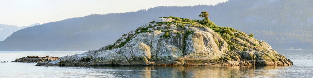 Island in a lake Glacier Bay National Park Southeast Alaska Alaska USA Canvas Art - Panoramic Images (48 x 12)