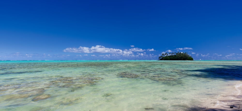 Island in the Pacific Ocean Rarotonga Cook Islands Canvas Art - Panoramic Images (36 x 12)