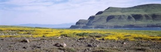 Island in the pacific ocean Santa Cruz Island Santa Barbara County California USA Canvas Art - Panoramic Images (36 x 12)