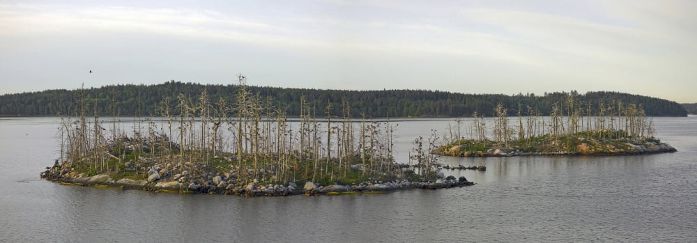 Island in the sea Stockholm Archipelago Stockholm Sweden Canvas Art - Panoramic Images (12 x 36)