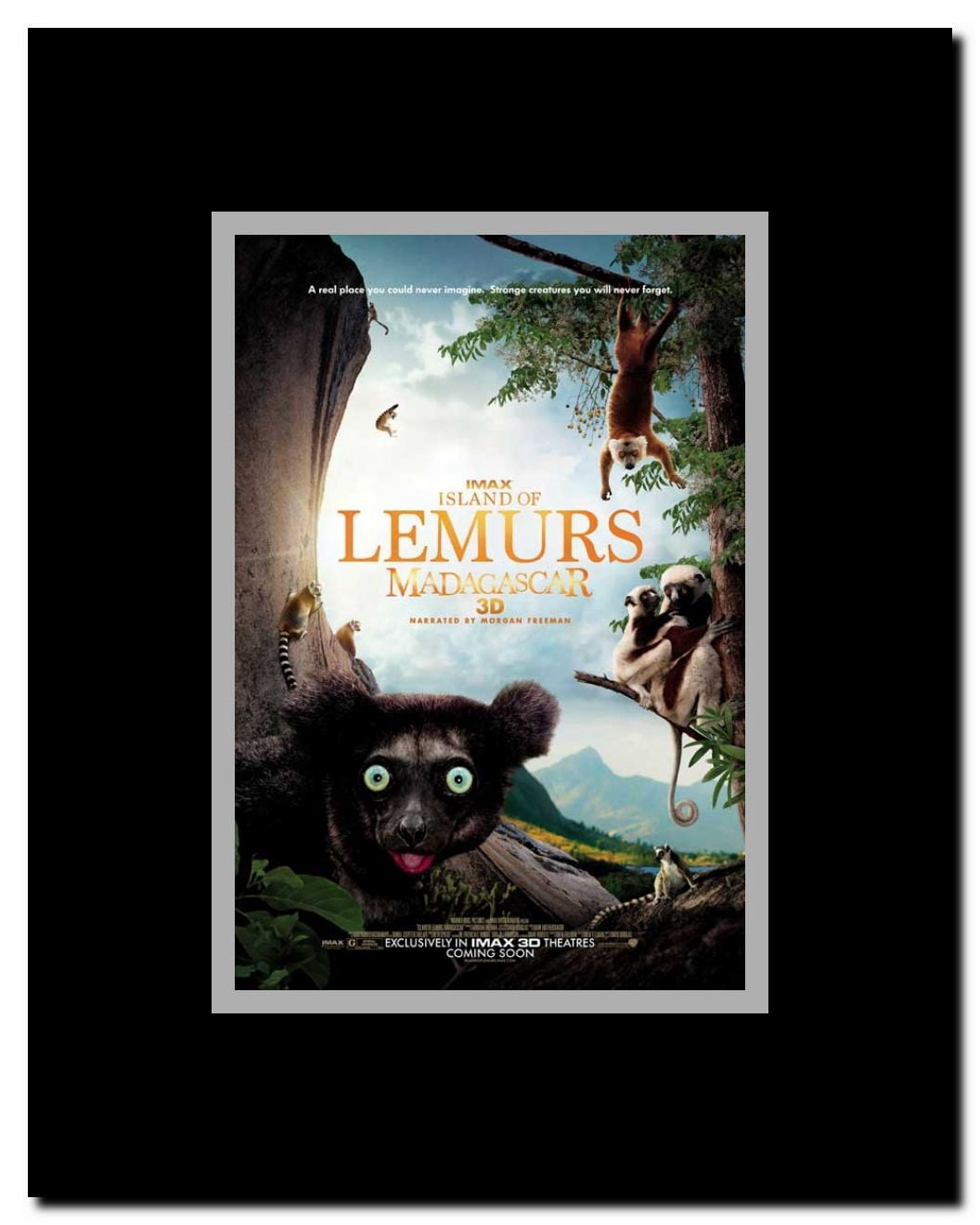 Island of Lemurs: Madagascar IMAX 3D Framed Movie Poster