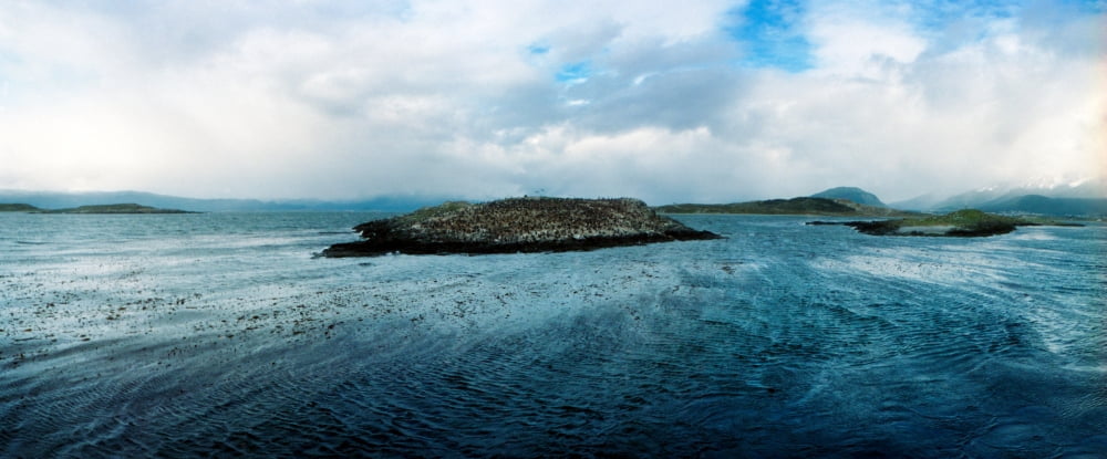 Island of arctic birds in sea Beagle Channel Ushuaia Tierra del Fuego Province Patagonia Argentina Canvas Art - Panoramic Images (6 x 15)