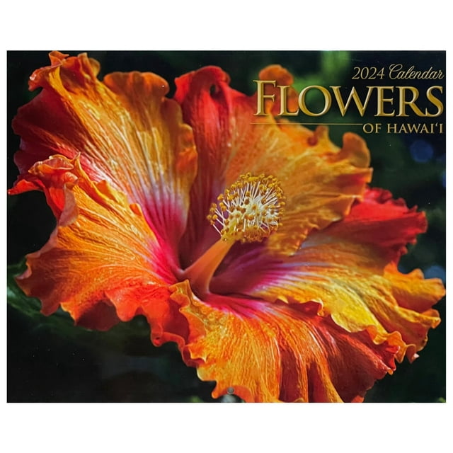 Islander Hawaii Hawaiian 2024 Twelve Month Calendar (Choose)