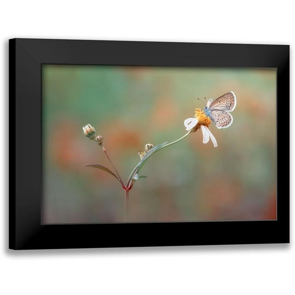 Isna Maulana, Adi 14x11 Black Modern Framed Museum Art Print Titled - Nangkring Indah