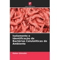 thumbnail image 1 of Isolamento e IdentificaÃ§Ã£o de BactÃ©rias CelulolÃ­ticas do Ambiente, (Paperback), 1 of 1