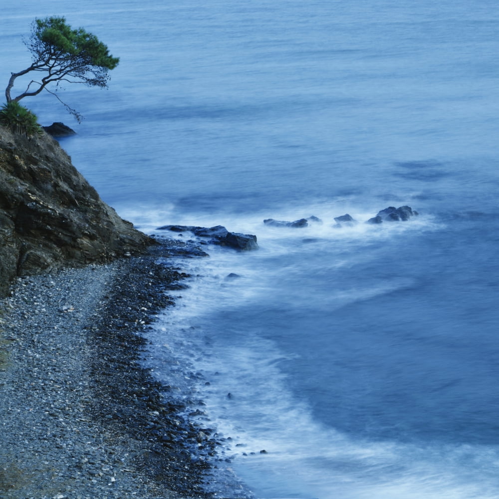 Isolated Tree On A Cliff Overlooking A Pebble Beach Along The Coast Benalmadena-Costa Malaga Andalusia Spain Canvas Art - Ken Welsh Design Pics (24 x 24)