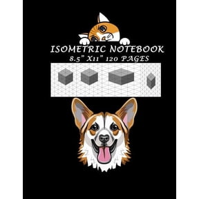 Isometric Hexagon Graph & Grid 3D Drawing Notebook, 8.5in x 11in, 120 Pages