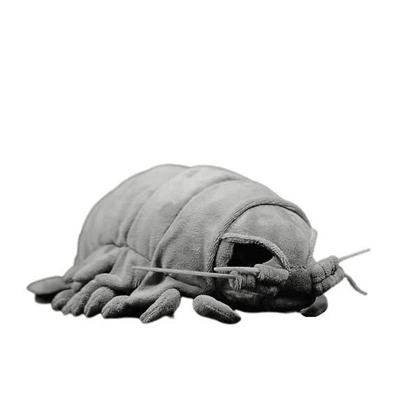 Isopod Plush - Lifelike 11.8inches Isopod Stuffed Animal, Realistic Bathynomus Giganteus Arthropod Insect Plushie, Soft Crustaceans Animals Toys Model Dolls Gifts for Kids