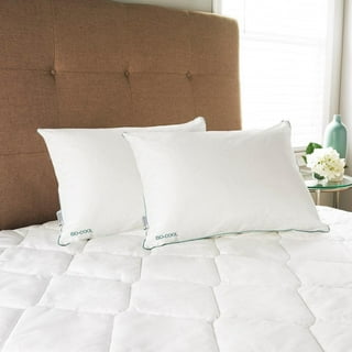 Carpenter Co Pillows