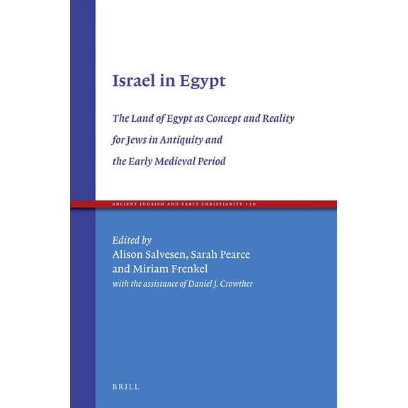 Israel in Egypt: The Land of Egypt as Concept and Reality for Jews in Antiquity and the Early Medieval Period, (Hardcover)