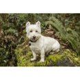 thumbnail image 1 of Issaquah WA. Westie posing outside as he sits on a large moss-covered fallen tree. Poster Print by Janet Horton, 1 of 3