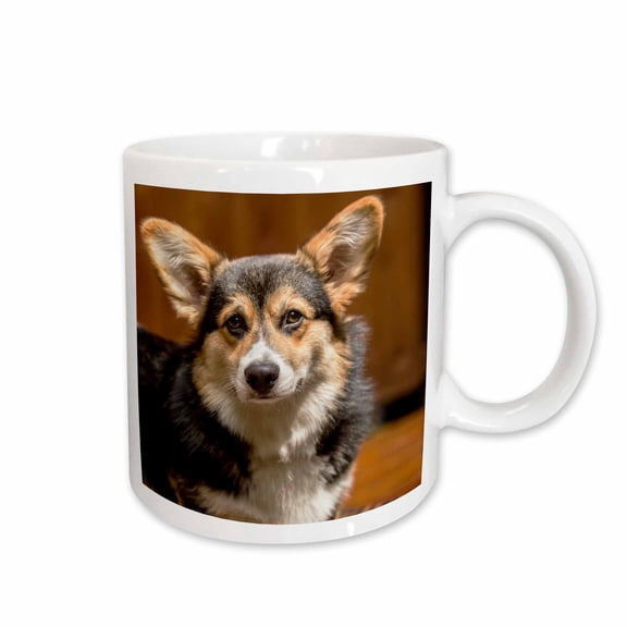 3drose, Issaquah, Wa, Usa. Six Month Old Corgi Puppy Posing on a Lawn Chair., 11oz Mug