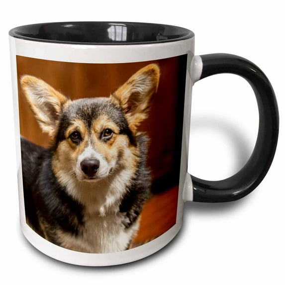 3drose, Issaquah, Wa, Usa. Six Month Old Corgi Puppy Posing on a Lawn Chair., 15oz Two-tone Black Mug